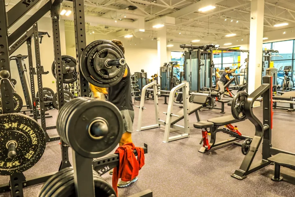 5 essential exercises to gain strength throughout the body