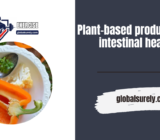 Plant-based products and intestinal health