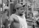  Deck Pec