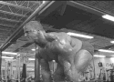 Barbell pull bent forward