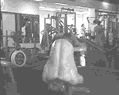 Back extension (lower back flexions)