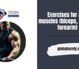Exercises for arm muscles (biceps, triceps, forearm)