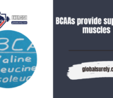 BCAAs provide support to muscles