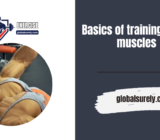 Basics of training chest muscles
