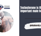 Testosterone is the most important male hormone